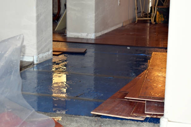 Professional Basement Flood Cleanup technician working in Brandon, WI